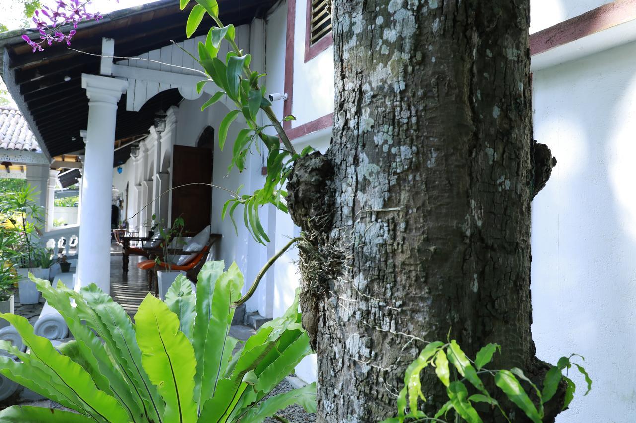Nooit Gedacht Heritage Hotel Unawatuna Eksteriør bilde